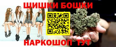 бошки Камышлов