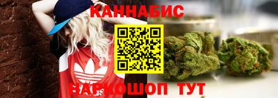 бошки Камышлов