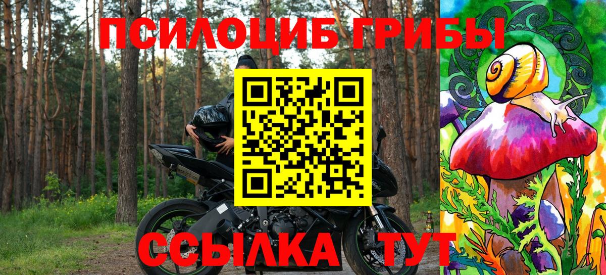 закладка  Вход с VPN  Михайловка  Псилоцибиновые грибы прущие грибы 